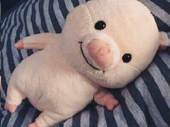 -西树泡芙(蓝色港湾店)