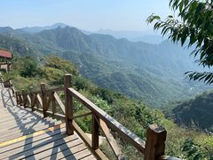 -大岭沟猕猴桃谷风景区