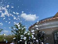 -浦鸿会游泳健身中心·Ambassy Club PD(金桥碧云国际社区店)