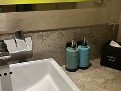 -苏州金鸡湖文博诺富特酒店