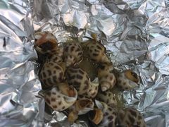 -螺涌海鲜酒楼(增槎路店)