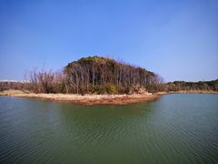 -昆山城市生态森林公园