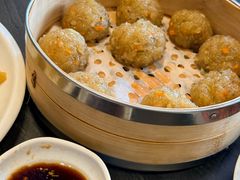 阳高粉丸子-紫泥369粗粮季(四牌楼店)