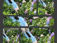 -上海滨江森林公园