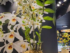 -北京植物园-展览温室