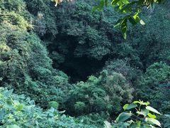-海口火山口国家地质公园