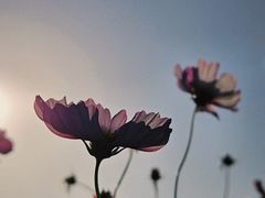 -上海滨江森林公园