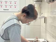 -帕帕拉兹宠物(亚洲旗舰店)