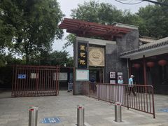 -莲花池公园