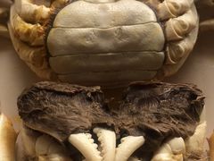 -乡乐园蟹庄·阳澄湖农家乐