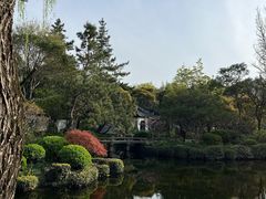 -嘉定紫藤园