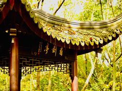 -上海佘山国家森林公园天马山园