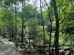 -玉渡山自然风景区