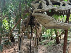 -呀路古热带植物园