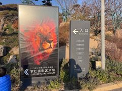 -罗红摄影艺术馆