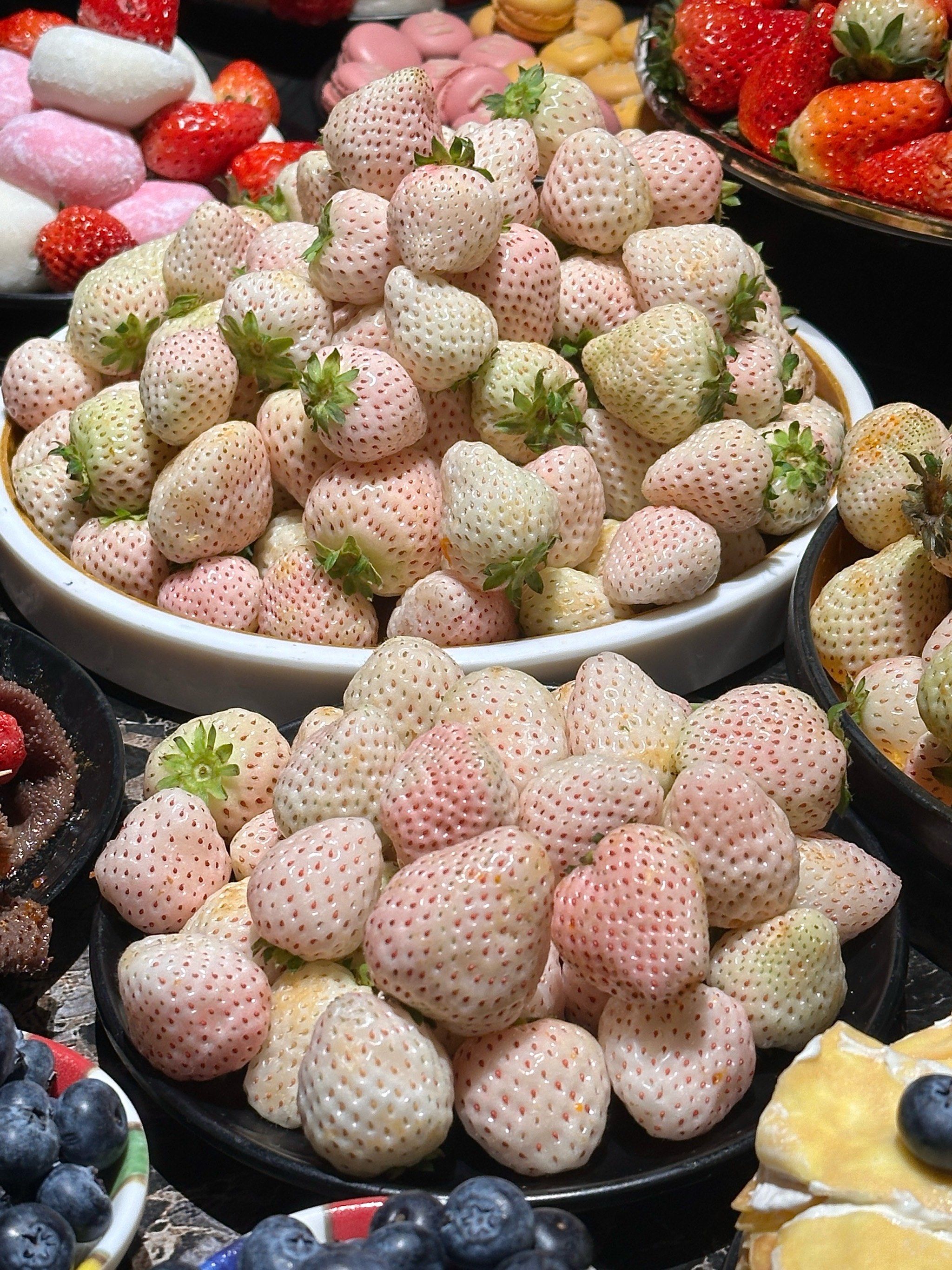 上海自助!又吃不完的白草莓!