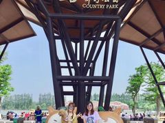 -上海长兴岛郊野公园