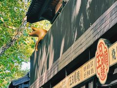 -肉欢 · 两头乌鲜肉涮锅(中山南路店)