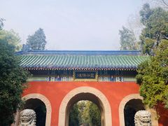 -灵谷景区