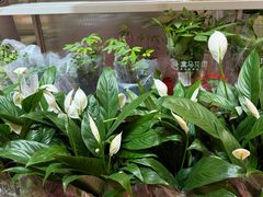 -盒马鲜生(丁香国际店)