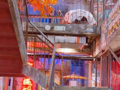 -五马集·海鲜·温州大牌档(黑金冠五马街十字路口店)