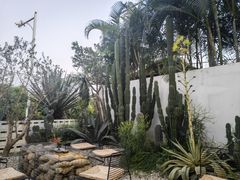 -自由生长植物工作室(深港花卉中心店)