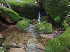 -三块石国家森林公园