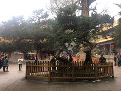 -普陀山风景名胜区-法雨禅寺