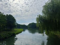 -尚贤河湿地