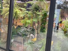 -Soloist 独奏公司(798店)