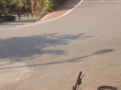 景点-火炉山森林公园
