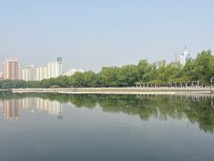 -莲花池公园