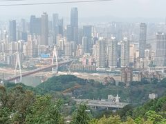 -南山植物园