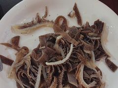 -陈府大宅门成都火锅·手切鲜肉(太原街店)