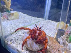 -太平洋海底世界