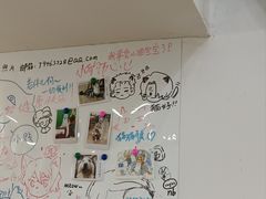 -李小姐の猫咖啡馆(五角场店)