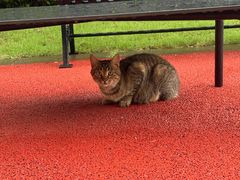 -徽雲头疗·spa(浦珠北路店)