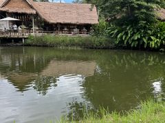 -大象粑粑造纸公园