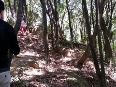-石台牯牛降景区