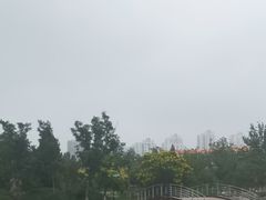 -绿岛公园(滨海新区)