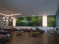 -Peet's Coffee皮爷咖啡(上海长风大悦城店)