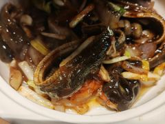 -孙家面馆(淮海第一城店)