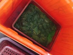 -蛙太牛牛肉海鲜自助火锅(台江万达店)