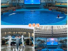 -海合安成都极地海洋公园