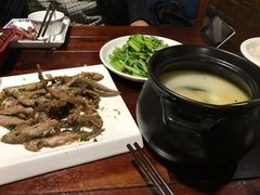 -四季春