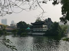 -荔湾湖公园