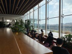 -Seesaw Coffee(朝阳大悦城店)