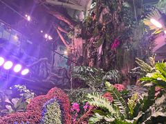 -正佳雨林生态植物园