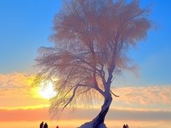 -雾凇岛