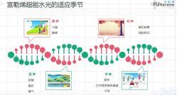 -坤如玛丽·医疗美容中心